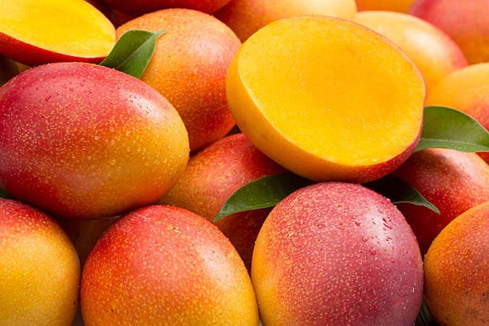 MANGOES